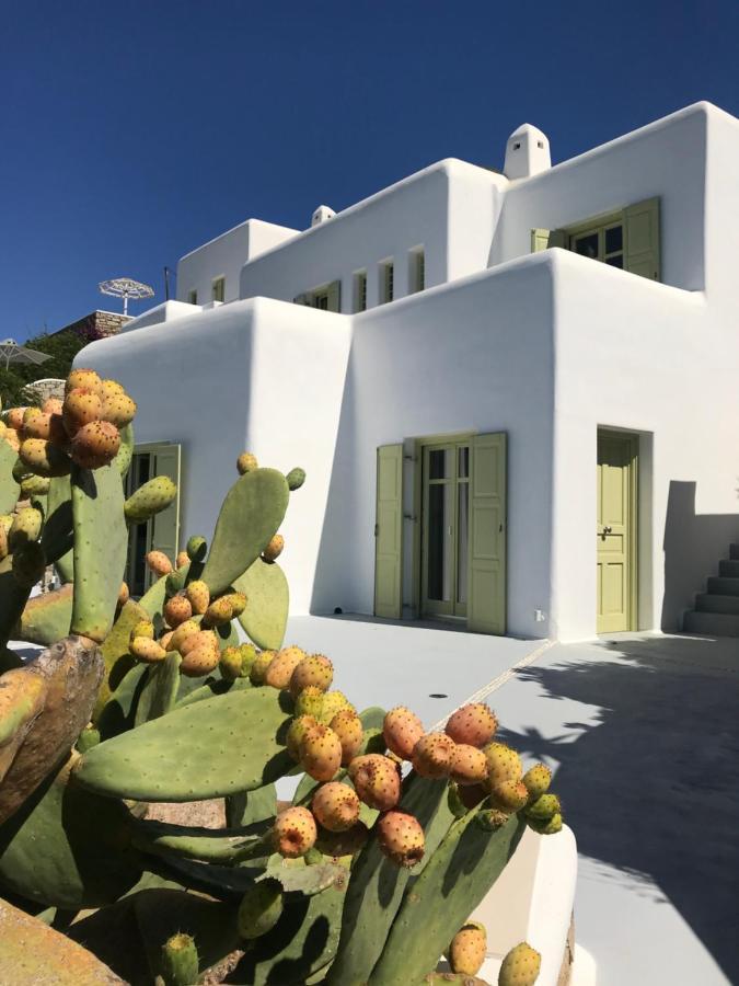 Villa Agnes Mykonos Mykonos Town Exterior photo